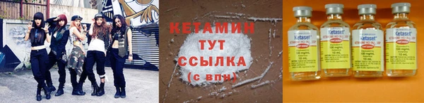 шишки Мегион