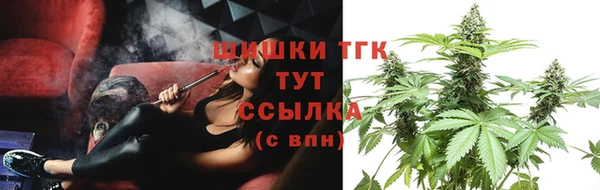 шишки Мегион