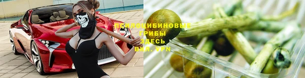 шишки Мегион
