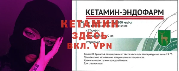 шишки Мегион