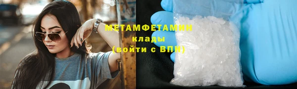 шишки Мегион
