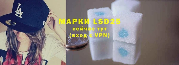 шишки Мегион
