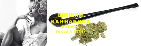 шишки Мегион