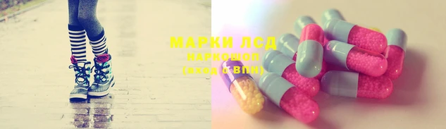 шишки Мегион