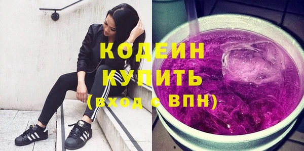 шишки Мегион