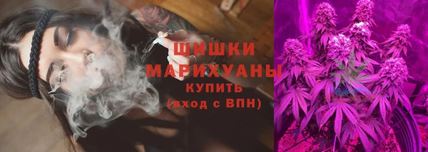 соль ск Гатчина