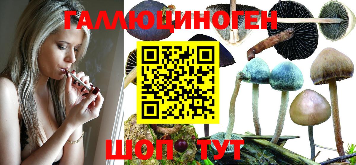 Псилоцибиновые грибы мицелий Луга