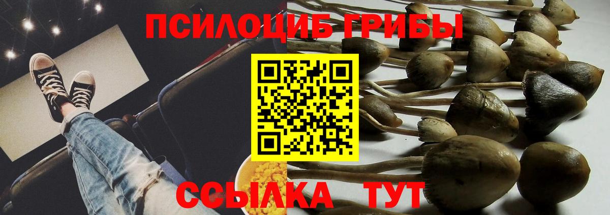 Луга  Псилоцибиновые грибы прущие грибы  Вход с VPN  Псилоцибиновые грибы MAGIC MUSHROOMS 