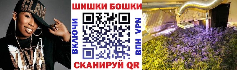купить наркотик  Луга  Бошки Шишки ГИДРОПОН 